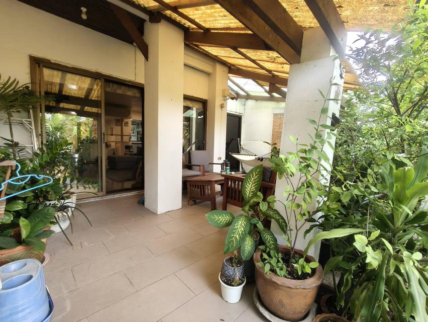 ขายบ้านริมน้ำ สุขุมวิท77 ที่ดิน28ตร.ว บ้านทาวโฮมริมน้ำ อ่อนนุช21 บ้านสวยร่มรื่น ใกล้ Makroอ่อนนุช 700ม. รถไฟฟ้าBTS ศรีนครินทร์ พัฒนาการ สุขุมวิท 7