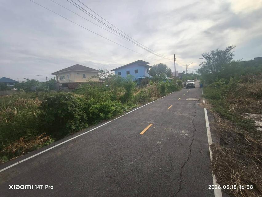 ขายด่วนที่ดิน 176 ตรว ติดถนนลาดยาง ซ.ร่วมสุข 3/6 เมืองปทุมธานี ปทุมธานี 1
