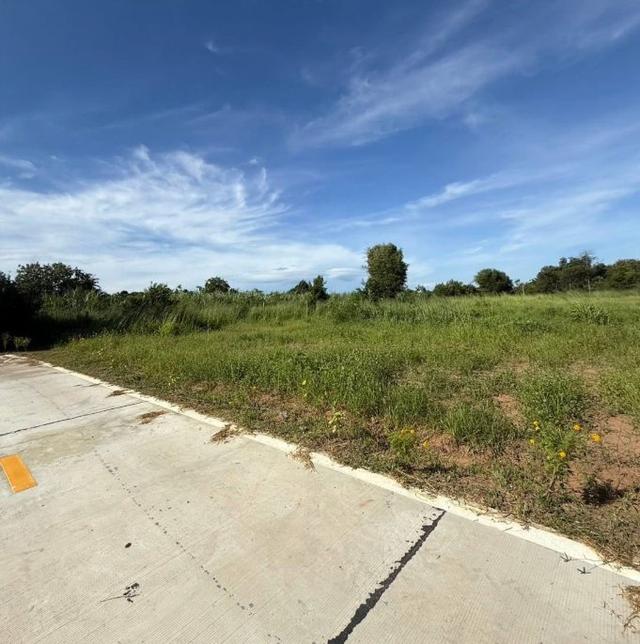 ขายที่ดินนาเริก 4 ไร่ ใกล้ถนนเส้น3246-900เมตร พนัสนิคม จ.ชลบุรี