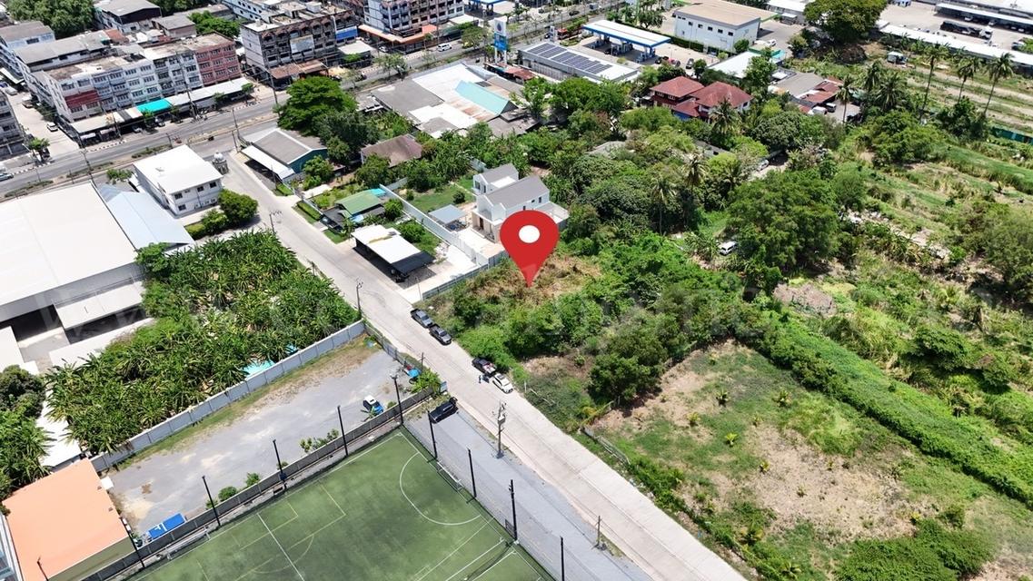 ที่ดินผังสีม่วง 200 ตร.วา ซอยเอกชัย 76/1 บ้านธนบดี - บางบอน 1 3