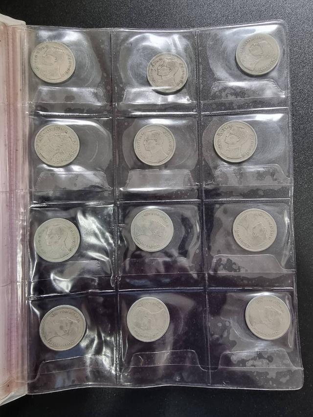 Coin Collection  14