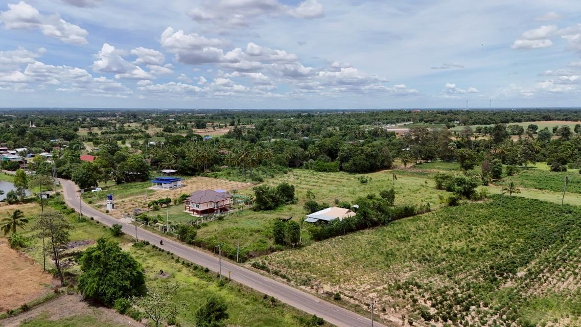 ที่ดินหลุดจอง.ทำเลดี ใกล้.เขื่อนลำพระเพลิง. 5 ไร่. เพียง2.5 ล้านบาท (จากเดิม 4 ล้านบาท ) | ( 1,250 บ./ตร.ว ) 12