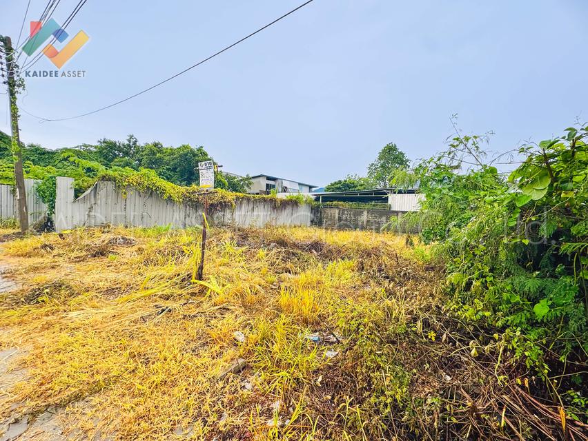 ที่ดิน บางแวก – พุทธมณฑลสาย 3 | หมู่บ้าน ชัชฎา วิลล่า 6