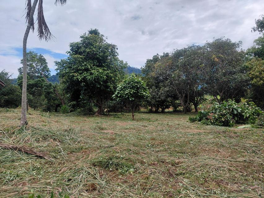 ที่สวนพร้อมอ.เมือง จ.ระยอง 3