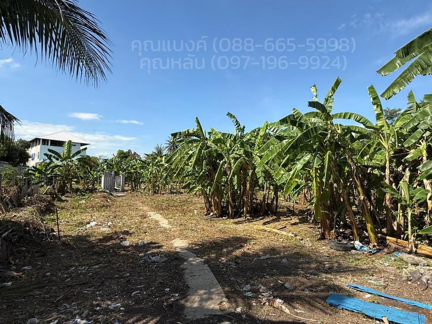 ที่ดินติดถนนใหญ่ราชพฤกษ์ 556 ตร.ว. 6