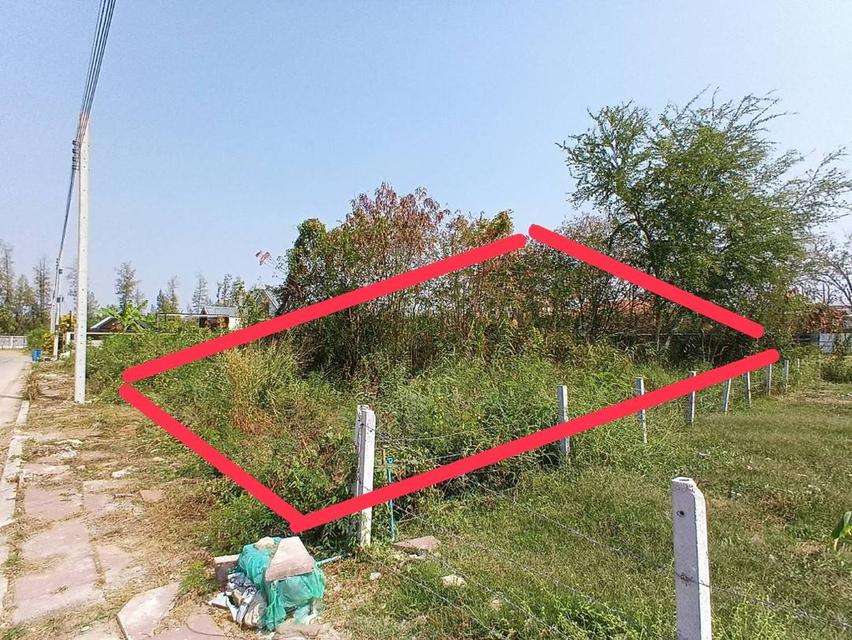 ที่ดิน 56.1 ตารางวา ถมแล้ว ซอยเฉลิมพระเกียรติ 39/2 ติดสวนหลวงร 9 เขตประเวศ กรุงเทพฯ 7