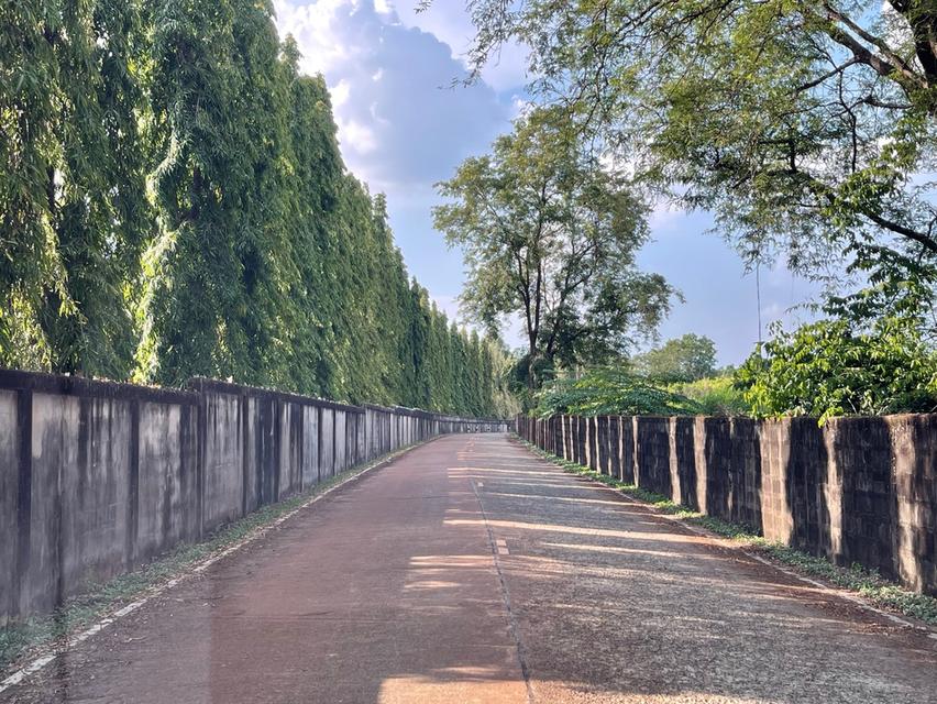 ขายที่ดิน ต.ประจันตคาม  อ.ประจันตคาม จ.ปราจีนบุรี 10 ไร่ 2 งาน 50 ตร.ว น้ำไฟ เข้าถึง มีถนนคอนกรีดตัดผ่านตลอดแนวด้านหน้าที่ดิน **ราคา 4.2 ล้านบาท**  2