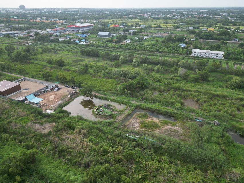ที่ดินคลอง 4 อ.คลองหลวง จ.ปทุมธานี 3