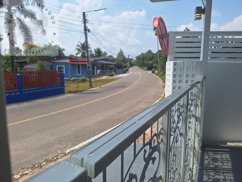 สวนทุเรียนแปลงเล็กระยอง 5