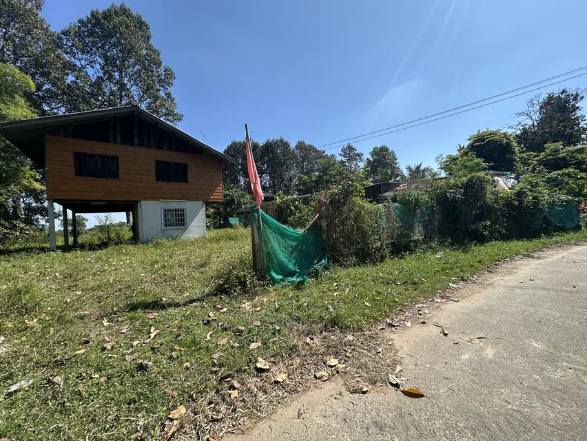 ขายด่วนที่ดินแถมบ้าน อำเภอเมืองอุบลราชธานี ใกล้สนามบินอุบล 15