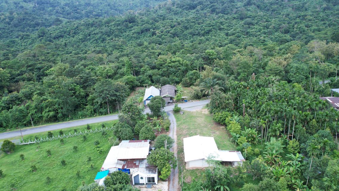 ขายบ้านพร้อมที่ดิน 200 ตารางวา ต.เขาพระ ติดถนนหลัก วิวเขาชัด เหมาะดัดแปลงทำพูลวิลล่า 10