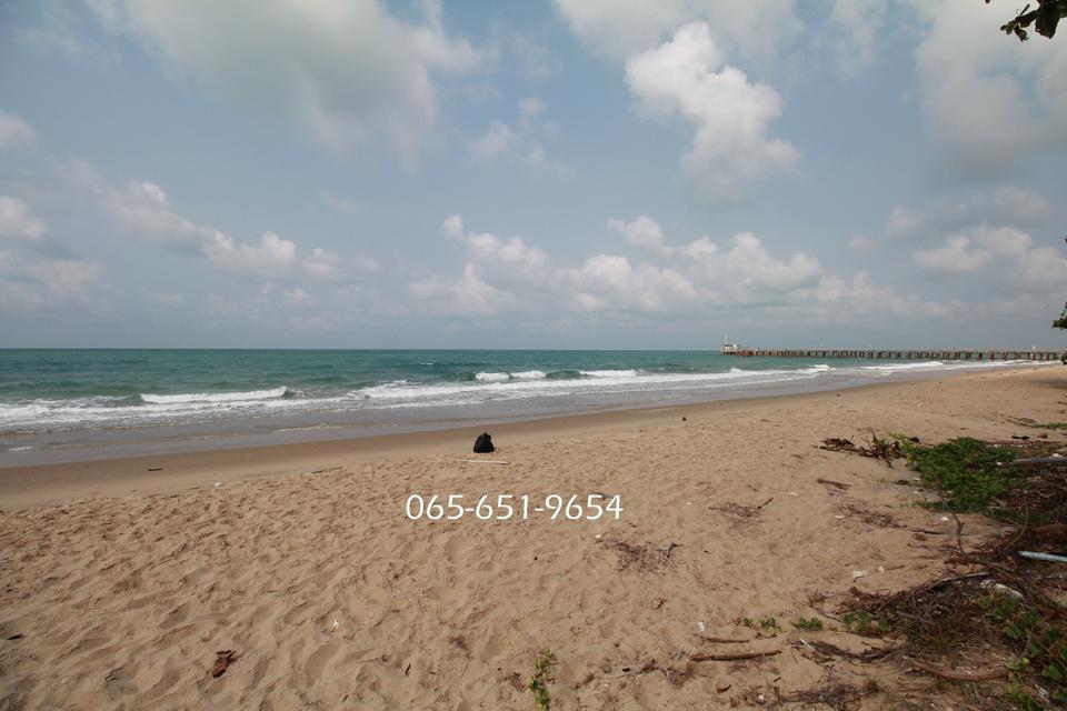 ลดแรง!ขายที่ดินติดทะเลหาดแม่รำพึง ไร่ละ 8.5 ล้าน เนื้อที่ 5-2-46 ไร่ ติดถนน 3 ด้าน ตะพง ระยอง 4