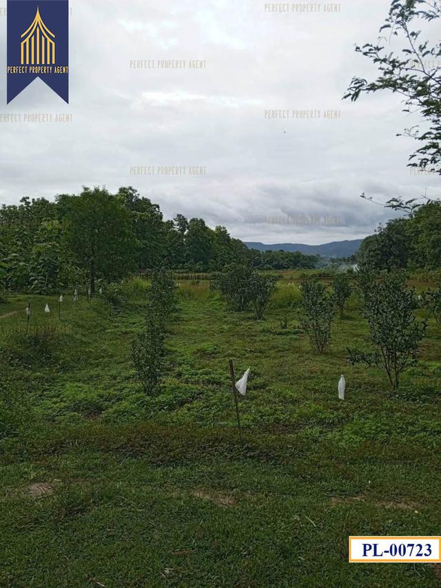 ที่ดิน อำเภอ เถิน จังหวัด ลำปาง 35 ไร่ติดถนนสายเอเชียและแม่น้ำวังพัฒนา 6