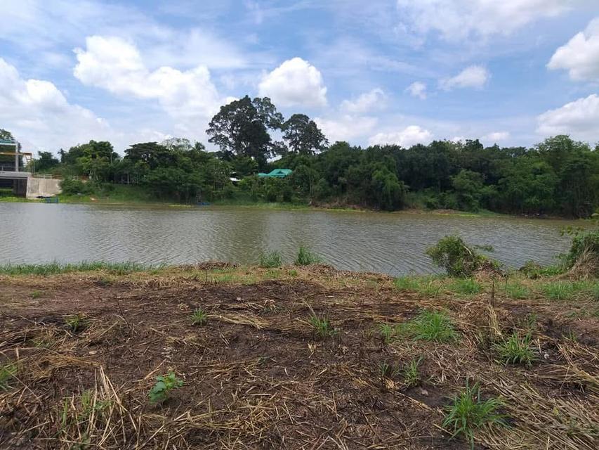 ที่ดินติดแม่น้ำป่าสัก 3