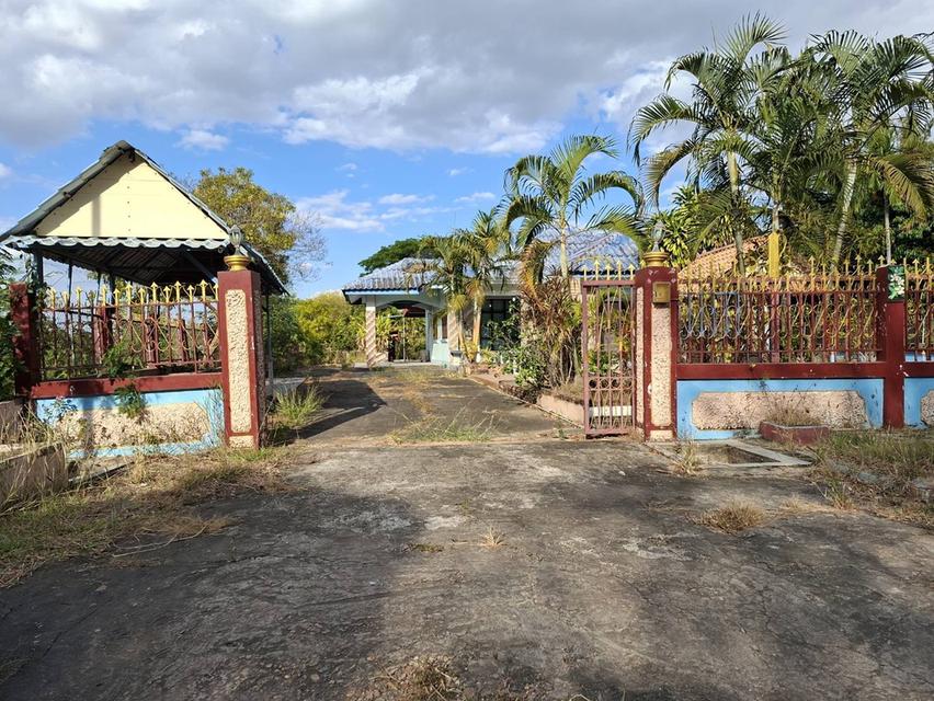 ซื้อบ้านราคาดีที่สุดวันนี้ดีกว่าไปซื้อบ้านแพงๆวันหน้า 7