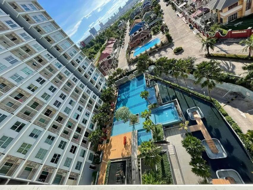 The Trust South Pattaya Condo 1