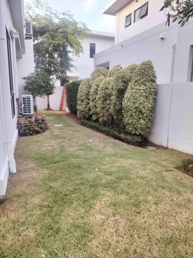 ให้เช่า Mantana Bangna Km.15 Fully Furnished บ้านอยู่ใกล้สวนส่วนกลาง