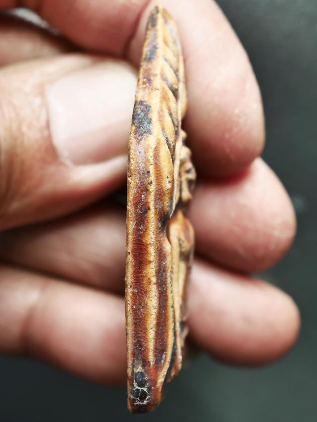 พระขุนแผนเคลือบ พิมพ์อกใหญ่ ฐานเตี้ย กรุวัดใหญ่ชัยมงคล...สวยแชมป์ 9