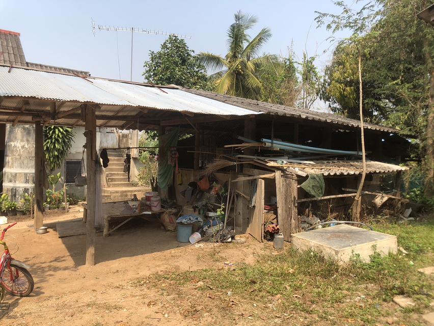 ขาย 230,000 บาท ที่ดิน 92 ตารางวา วังเหนือ ลำปาง  098 7755 808 4