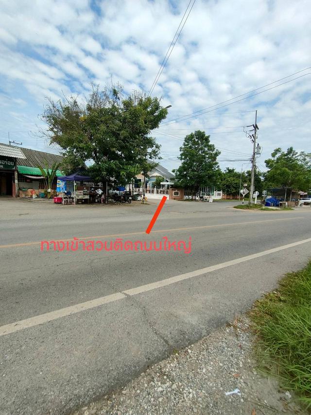ขายที่ดินพร้อมต้นสักทำเลดีติดถนนเลียบทางรถไฟเขตชุมชนใน อ.เมือง จ.ลำพูน 4