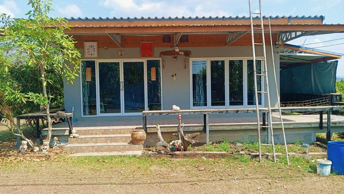 ขายที่ดินจังหวัด พิษณุโลกพร้อมสวน วิวเขา จำนวน 80 ไร่! ใกล้แหล่งท่องเที่ยว