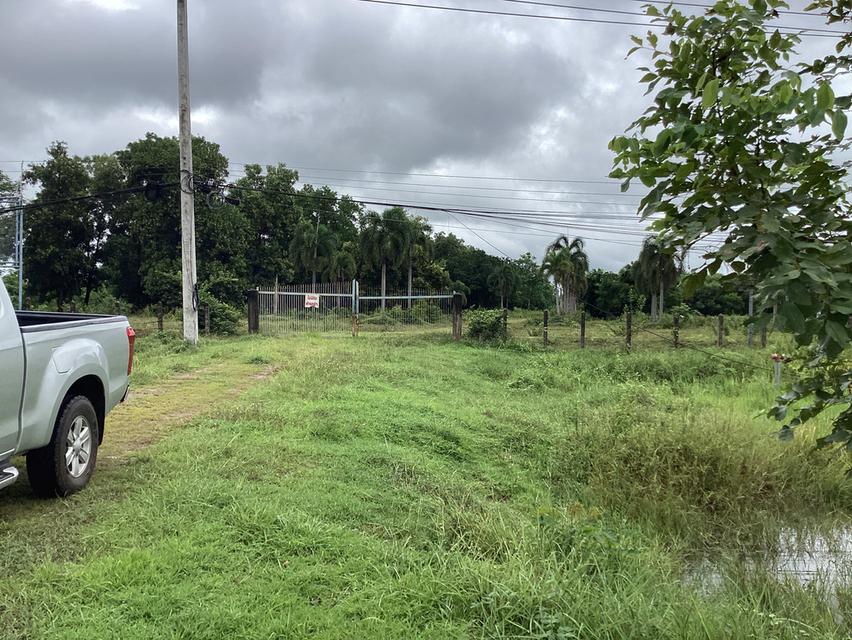 ที่ดินทำเลทอง!ติดถนนเมนหลักใกล้มหาลัยนครพนม 1