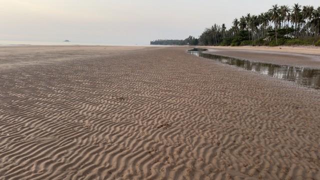 ทรัพย์น่าลงทุนรับคริสต์มาสนี้ ที่ดิน อ.บางสะพานน้อย จ.ประจวบคีรีขันธ์ 3