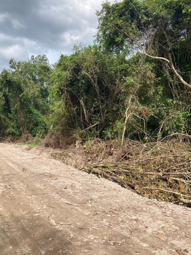 ที่ดิน 9ไร่ 1งาน 98ตารางวา หาดใหญ่ 5