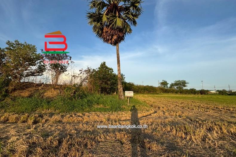  ที่ดินเปล่า ถนนปทุมธานี-บางปะหัน (347) เนื้อที่ 2-2-0 ไร่ ใกล้ตลาดพูนทรัพย์ ถนนปทุมธานี-บางปะหัน (347) ตำบลเชียงรากใหญ่ อำเภอสามโคก จังหวัดปทุมธานี 2