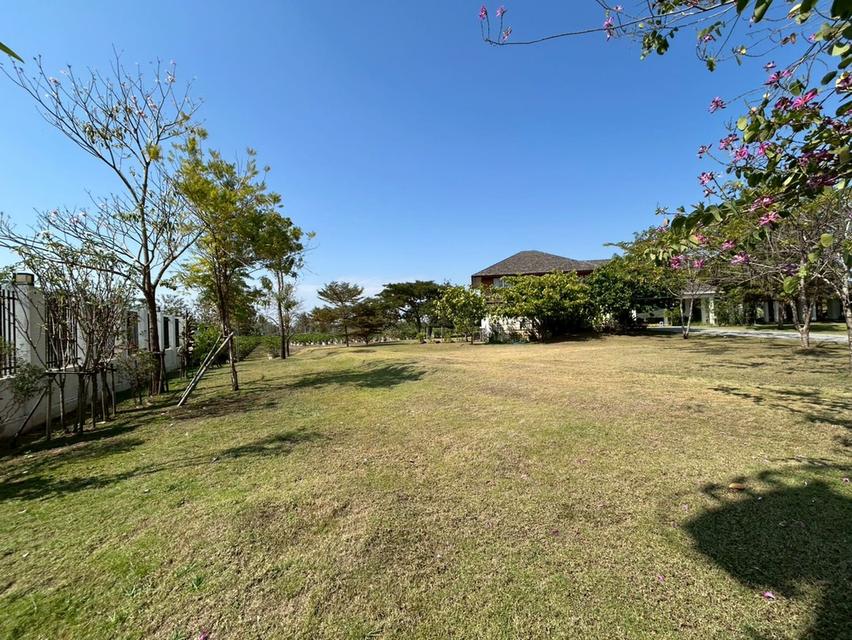 ขายบ้านและพร้อมที่ดิน 10