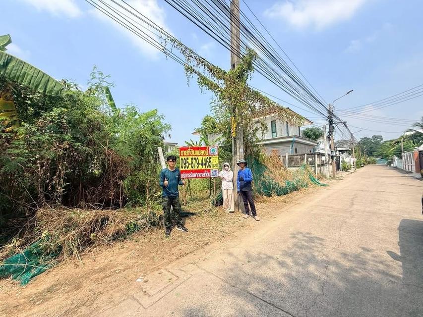 Vายทีดิน 103 ตารางวา ติดถนนคอนกริตสาธารณะ ซอย ติวานนท์ 27 เมืองนนทบุรี