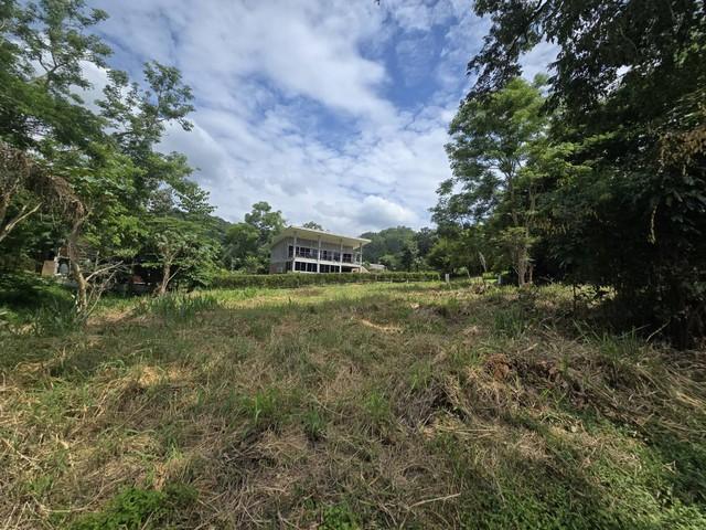ขายที่ดินแปลงมุม 289.9 ตร.ว โครงการภูภัทรา ปากช่อง เขาใหญ่ ติดถนน 2 ด้าน วิวธรรมชาติ ใกล้แหล่งท่องเที่ยว
