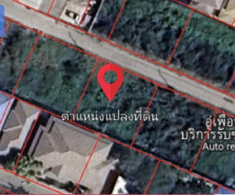 ขายที่ดินด่วน เจ้าของขายเอง ราคาถูก ซ. จ่าพยนต์ 2 บางบัวทอง 1