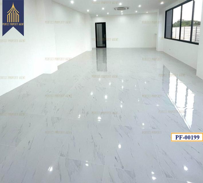 New Factory for sale สีม่วงเข้ม หลายขนาด ลำลูกกา ปทุมธานี 11