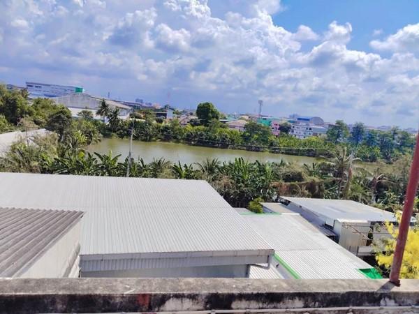 ขายอาคารพาณิชย์ 3.5 ชั้น หมู่บ้านดีเค ซอย 30 สภาพดี วิวหลังบ้านสวย เจ้าของขายเอง โทร 095-165-3654 19