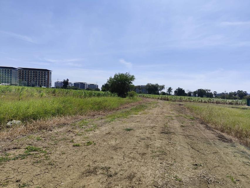 Sale beautiful land Nakhon Pathom near University Kaset 7