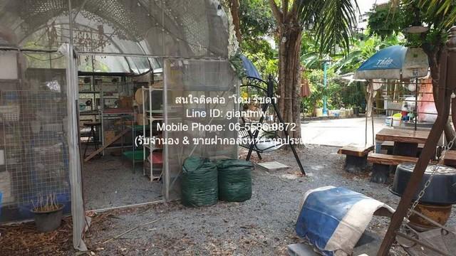 DSL-671 ต้องการขาย ที่ดิน ขายที่ดินบ้านสวนแปลงใหญ่ ใจกลางเมือง เนื้อที่ 493 ตร.ว. (ใกล้ MRT พระราม 9) 120 ล้านบาท 1 Rai  6