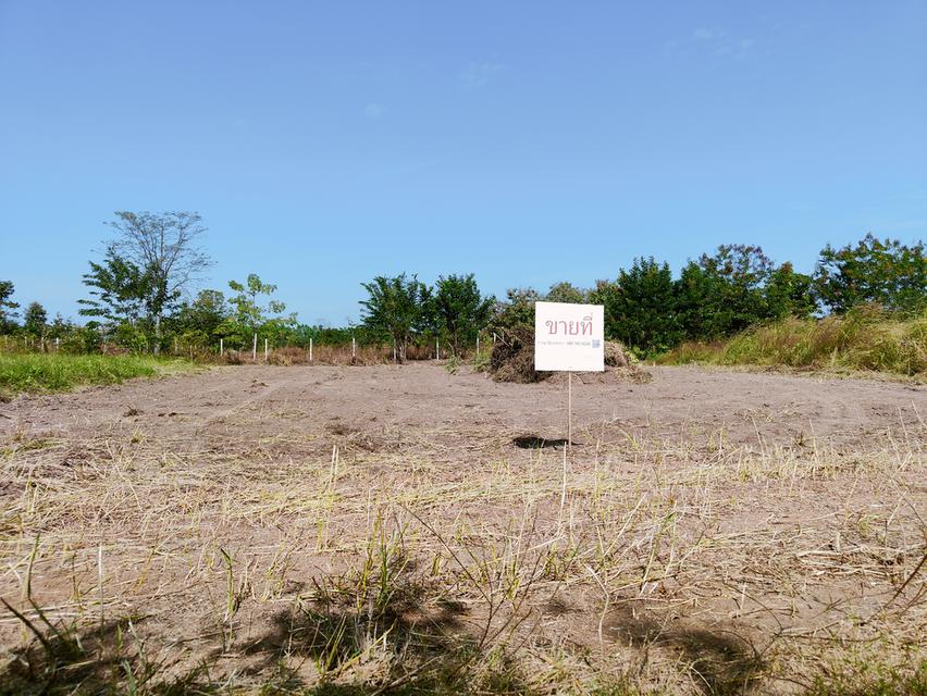 ที่ดินจังหวัดขอนแก่น อำเภอเมือง 7