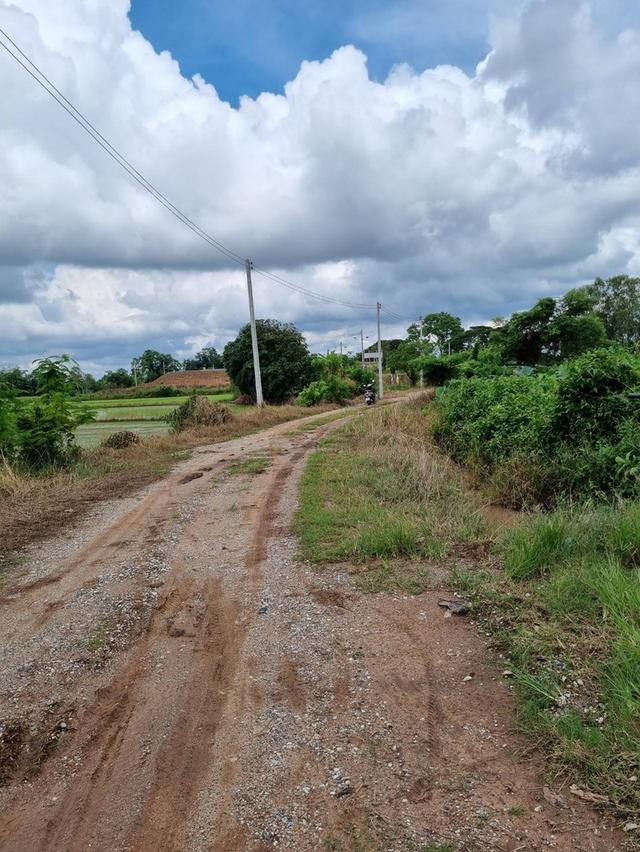 ขายที่ดิน 9.2 ไร่ พิษณุโลก ในเมือง 5