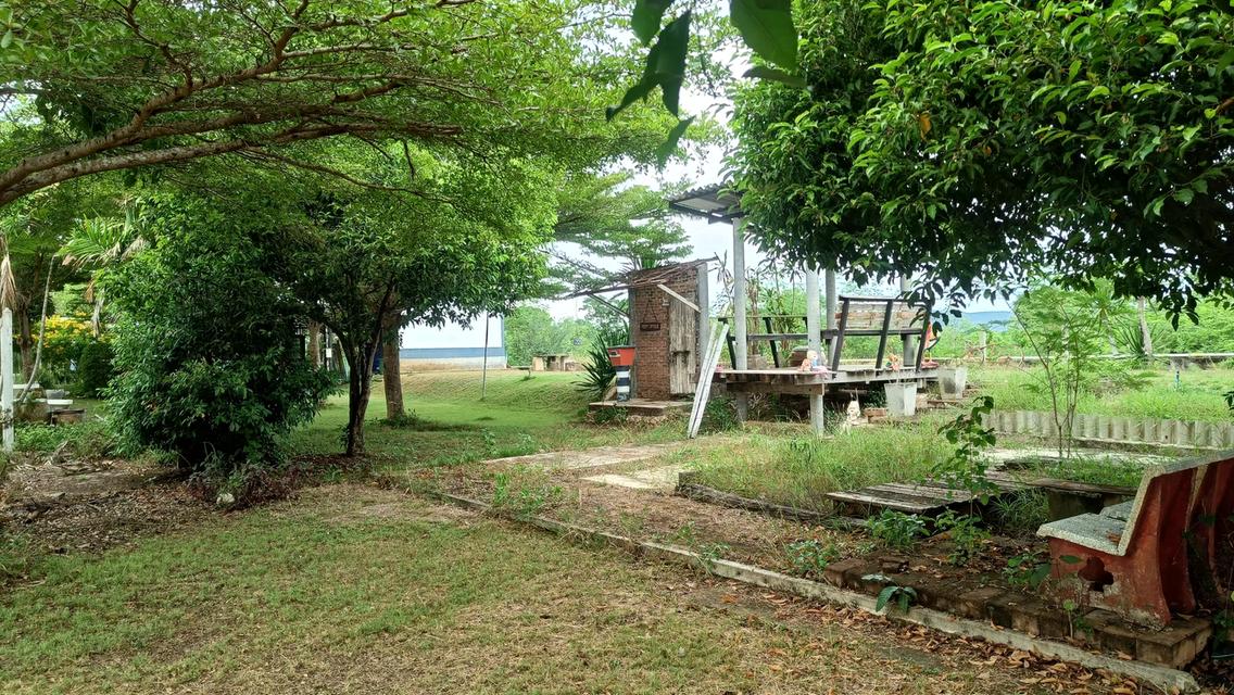 บ้านและที่ดิน3.1ไร่ ราชบุรี 5