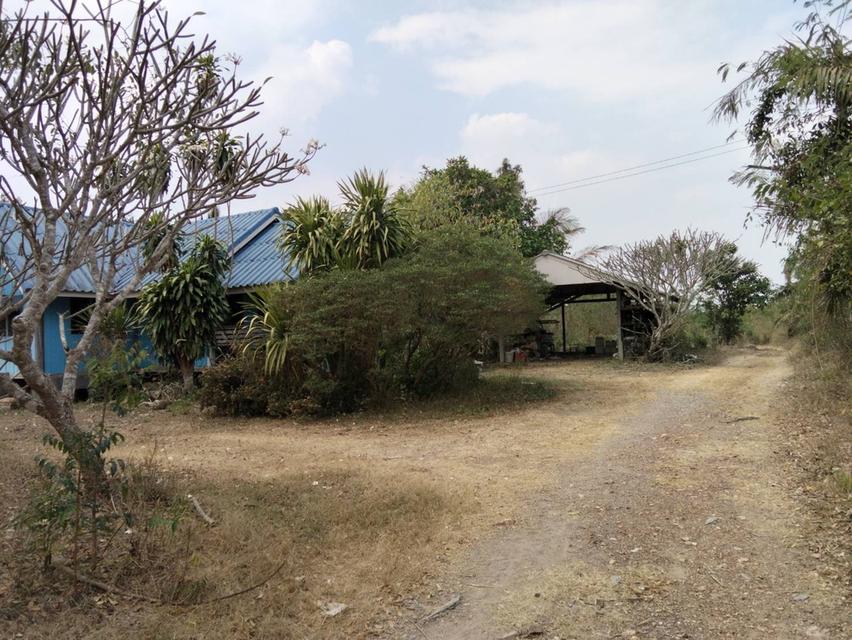 ขายที่ดินพร้อมบ้าน 3ไร่ หมู่บ้านหนองตาฉาว ตำบล เขากระปุก อำเภอท่ายาง เพชรบุรี ขายทั้งแปลง 2 ล้าน 7