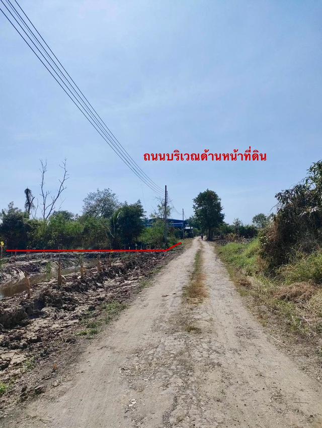 ขายที่ดินเนื้อที่ 106 ตรว. (ถมแล้ว) - ห่างจากถนน คู้-คลองสิบ ฝั่งเหนือ 50 เมตร - ห่างจากแยกลำหิน 700 เมตร - มีถนนสาธารณะกว้าง 8 เมตร มีไฟฟ้าผ่าน..... 8