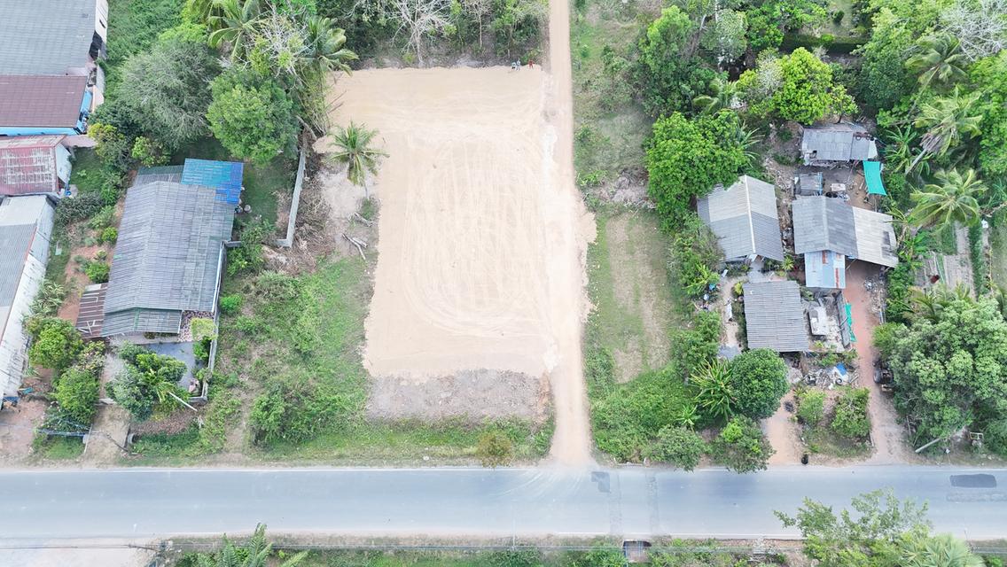 ที่ดินเปล่า 200 ตารางวา 5