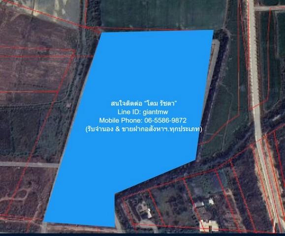 ที่ดิน ขายบ้านพร้อมที่ดินสวนมะพร้าว มะม่วง บึงพระ จ.พิษณุโลก ติดถนนเลี่ยงเมืองพิษณุโลก 56-0-17 ไร่ ราคา 199 ล้านบาท ขนาด 2