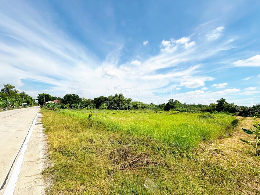 ที่ดินเปล่า เนื้อที่ 2 ไร่ ติดถนนเอราวัณ 1 ต.คลองสอง อ.คลองหลวง จ.ปทุมธานี 7