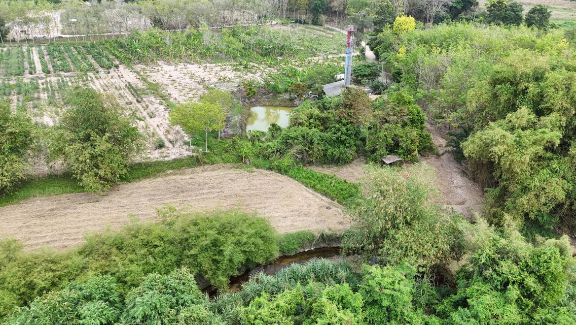 ขายที่ดินเปล่า 4-2-50 ไร่ ทำเลศักยภาพ ติดคลองกระเฉท น้ำไหลตลอดปี ใกล้นิคมอุตสาหกรรม ต.มาบข่า ระยอง 4