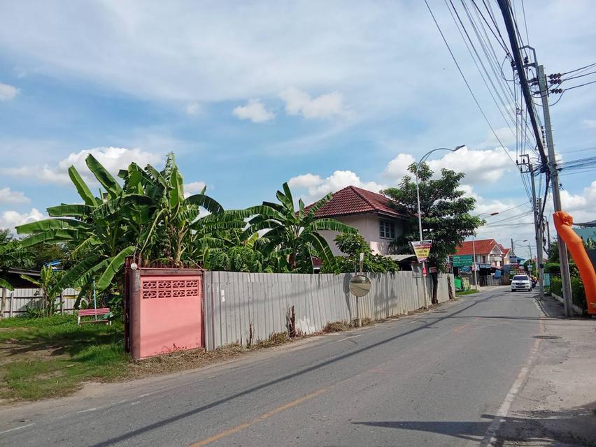 ขายที่ดินพร้อมบ้านและบ้านเช่า ซ.บางศรีเมือง 1 ใกล้ถนนราชพฤกษ์-นนทบุรี 1 1