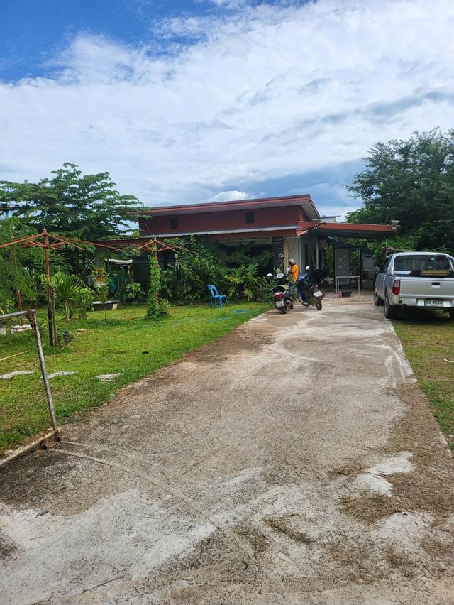 🏡 ขายที่ดินพร้อมบ้าน ทำเลดี เชียงราย ใกล้สนามบินแม่ฟ้าหลวงฯ ✈️ เจ้าของขายเอง 3