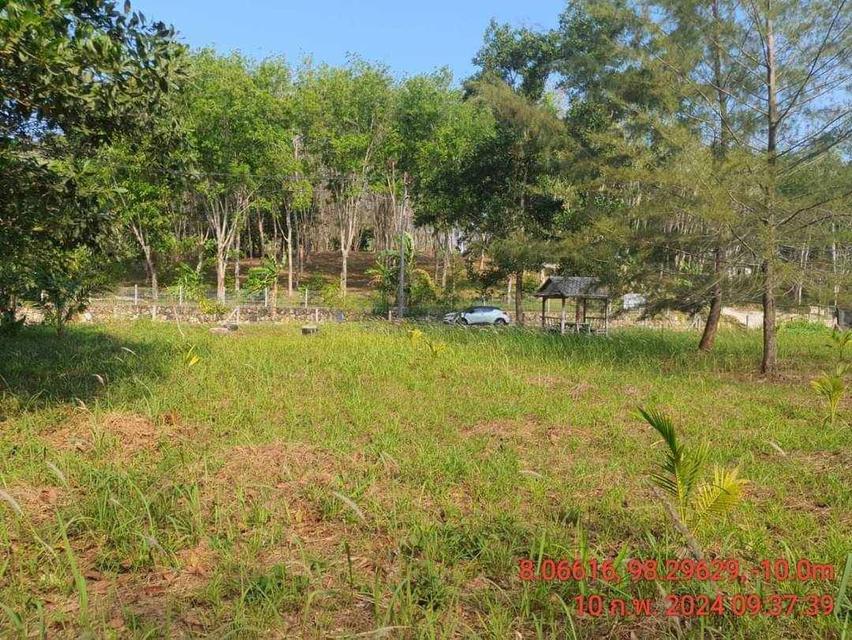 Land for sale near Naithon beach Phuket 2