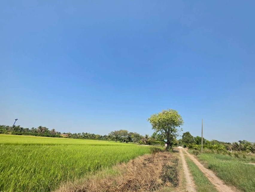 ขายที่ดินองครักษ์ นครนายก คลอง22 ใกล้วัดราษฎร์ศรัทธาราม 2